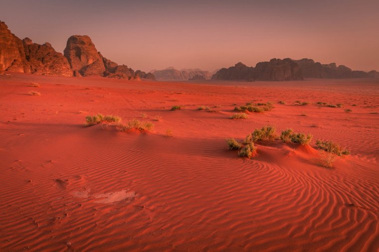 72 Wadi Rum.jpg